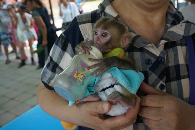 秦皇岛野生动物园