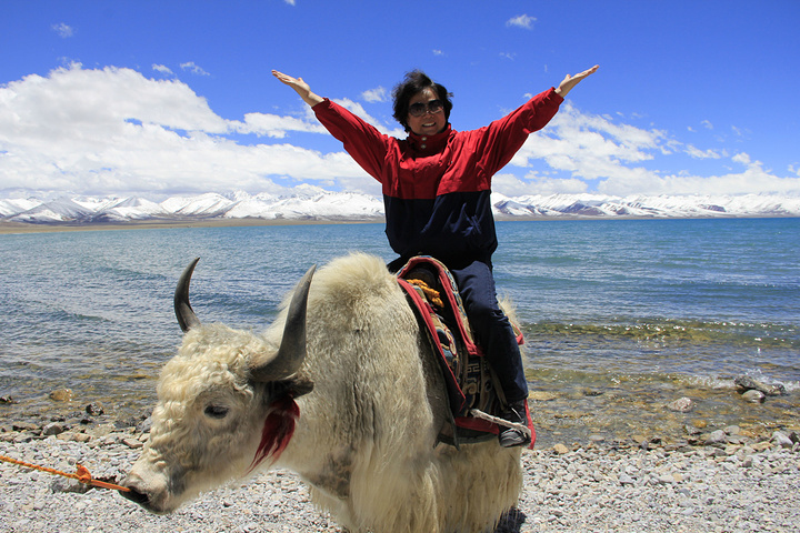 2017我曾经看到过很多赞美纳木措的诗歌_纳木