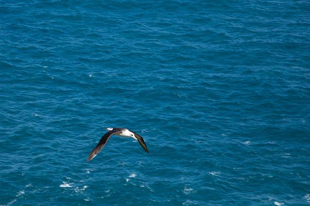 Kilauea Point National Wildlife Refuge