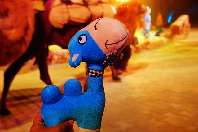 【带着骆驼去旅行】金秋行摄大美额济纳