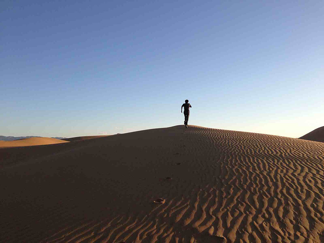 "沙子可以细腻的感觉到向阳部分的温暖和背面的阴凉，沙子上有小的黑色的小虫子，是什么不知道名字，但..._塔克拉玛干沙漠"的评论图片