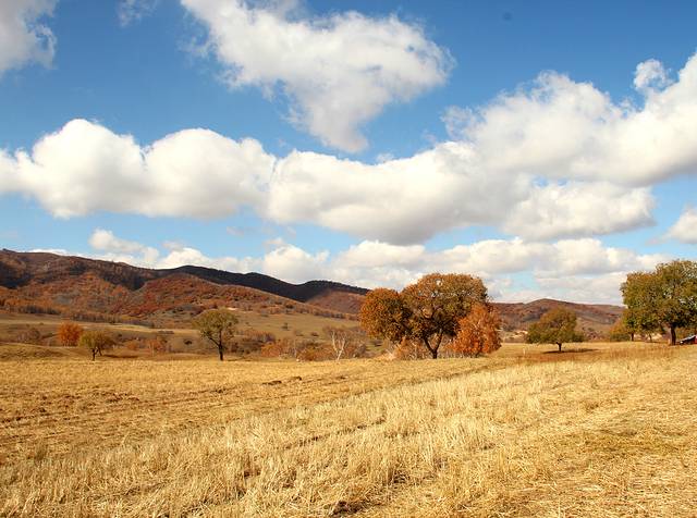 塞罕坝国家森林公园