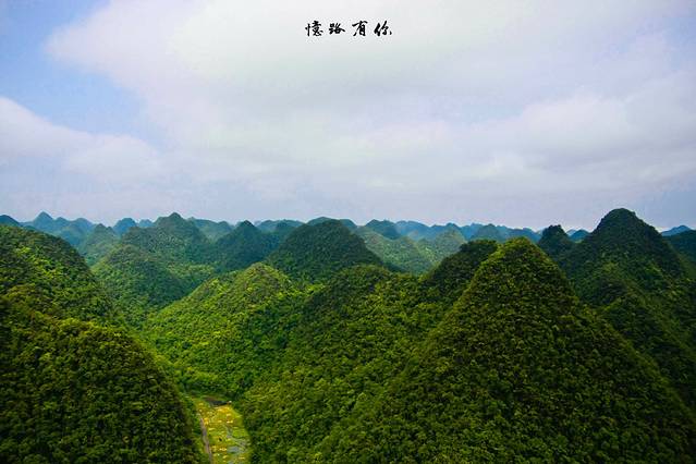 茂兰喀斯特森林