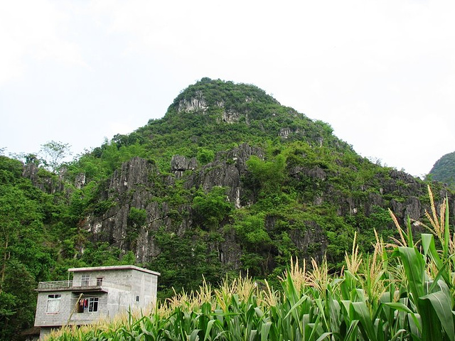 路上石山美景无限--马山金钗石林探秘1