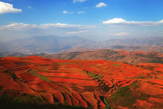 东川红土地锦绣园图片图片