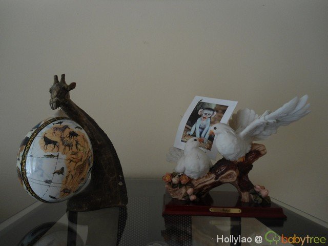 走亲访友南非游