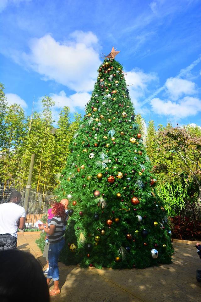 坦帕湾布希花园