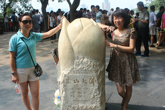 陪父母游乐山大佛峨眉山