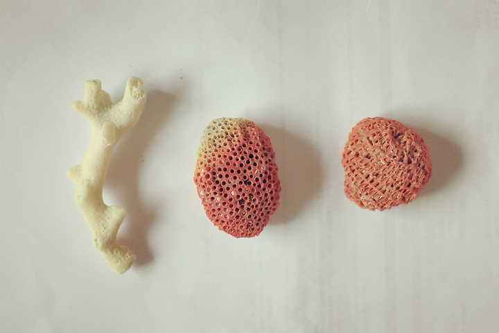 2017我们住的这个素卡海滩平房酒店 (Suka._巴