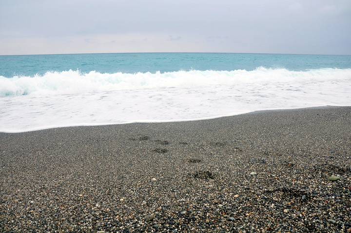 2017很感谢蓓儿帮我拉回去我只好悻悻然跟._