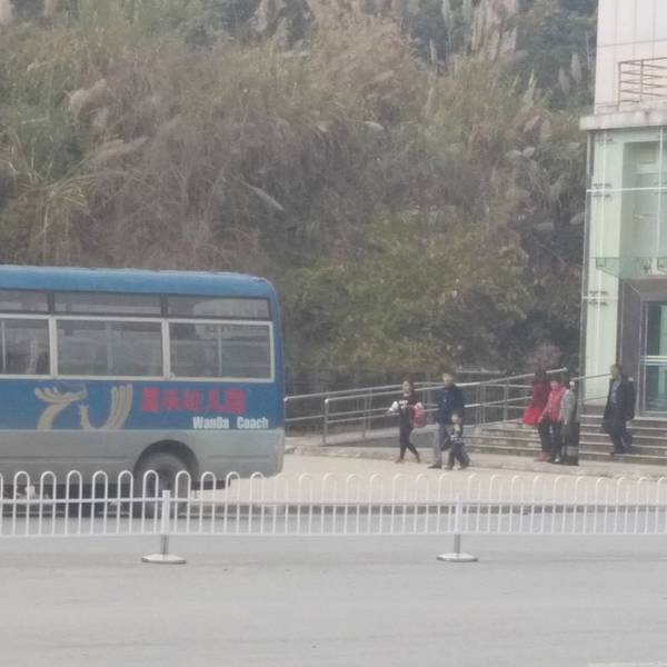 中国在缅甸人口有多少人口_缅甸有多少人口(3)