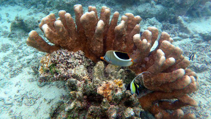 2017军舰岛,距离塞班岛10分钟的船程_军舰岛