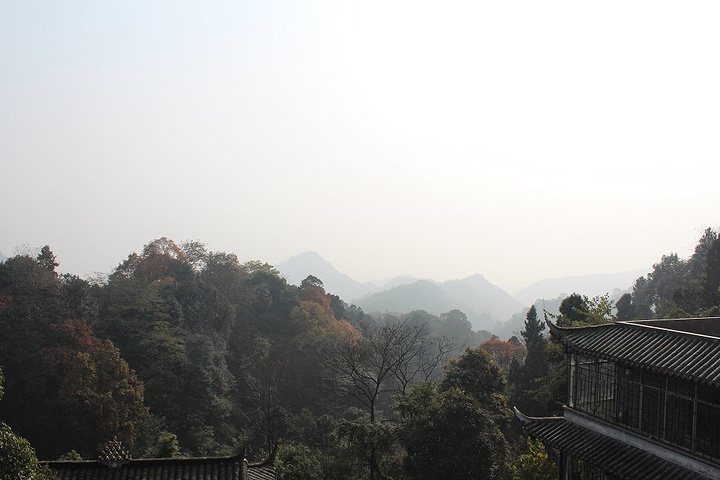 2023青城山名胜古迹很多 ,古建筑各具特色,古今名人诗画词赋处处可见,有优美的风光和神奇的传说。景区路线图_青城山-评论-去哪儿攻略