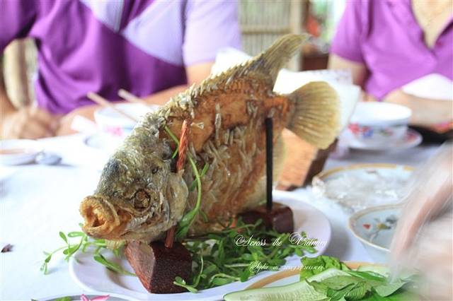 越南精华游-----大越国南行记