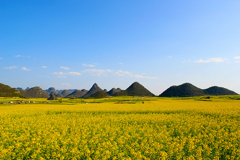 罗平旅游景点攻略图