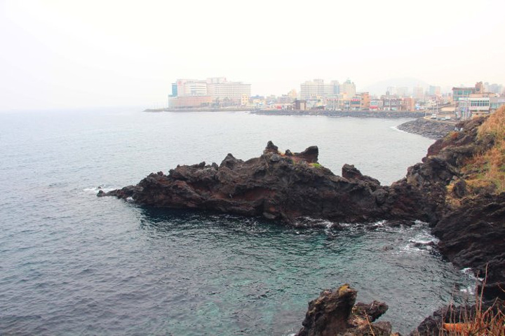 2017夏季最高气温33.5℃,冬季最低气温1℃_龙