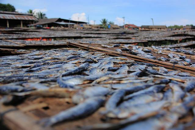 菲律宾,你的笑容我懂了