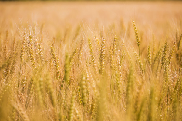 闭上眼睛,深呼吸!呼伦贝尔深度游。