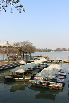 天井湖公园旅游景点攻略图