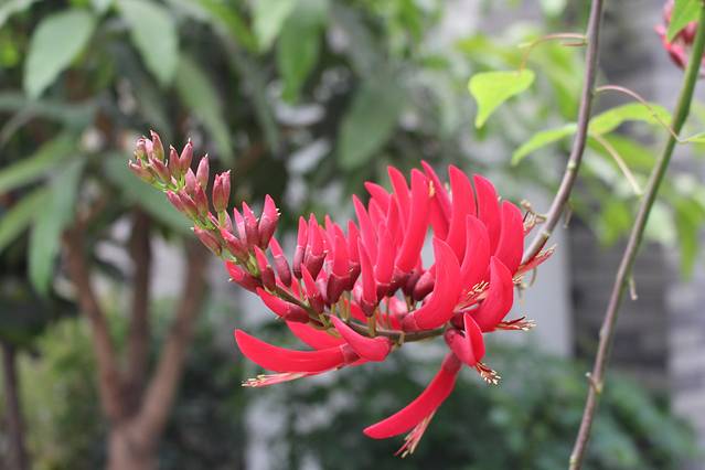 南宫世界地热博览园