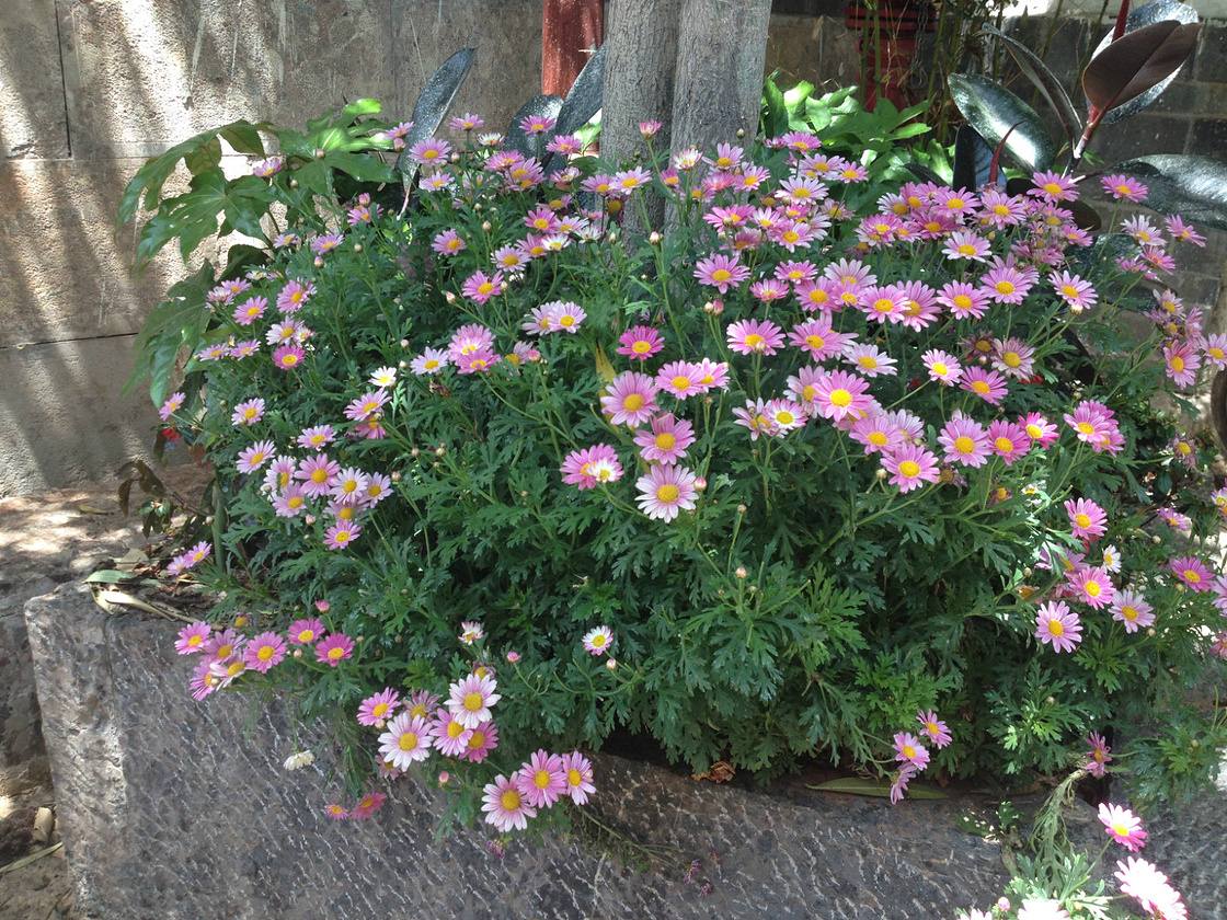 一个人的出发，一群人的结局