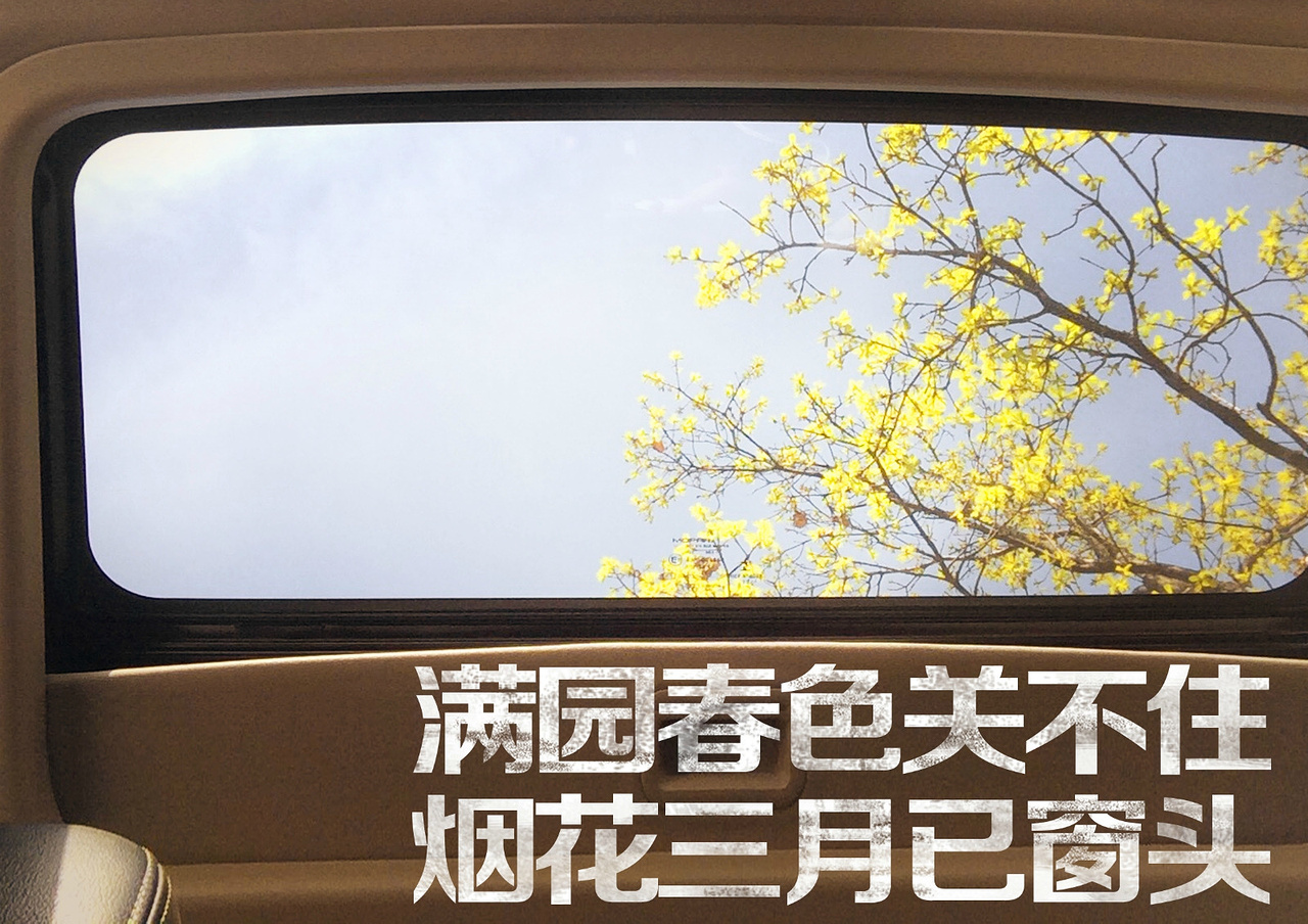 于大维-城里城外