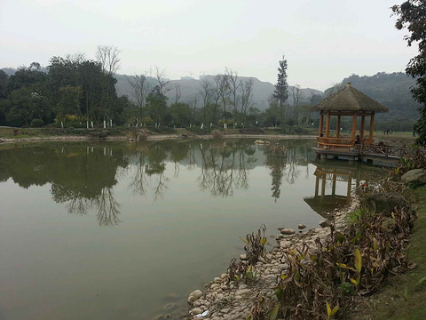 张坝桂圆林旅游景点攻略图
