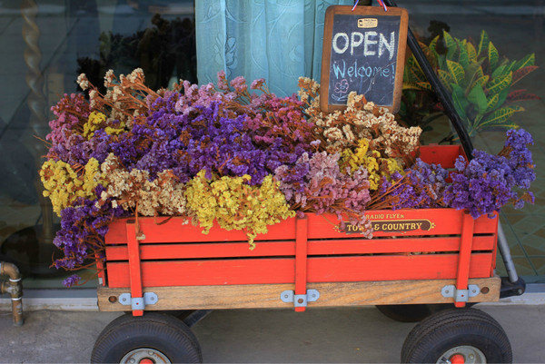 Bonita Cafe and Social Club