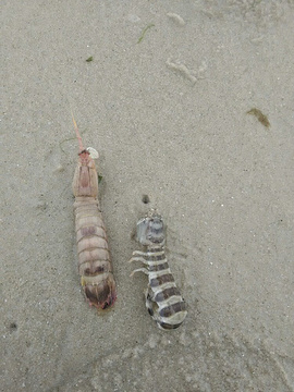 北海银滩旅游度假区旅游景点攻略图