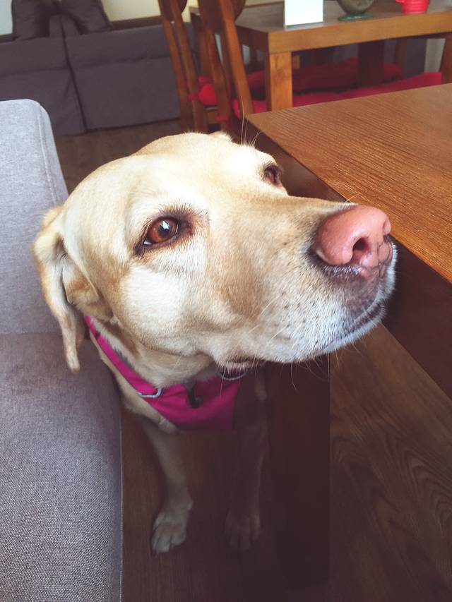 路上记忆咖啡馆