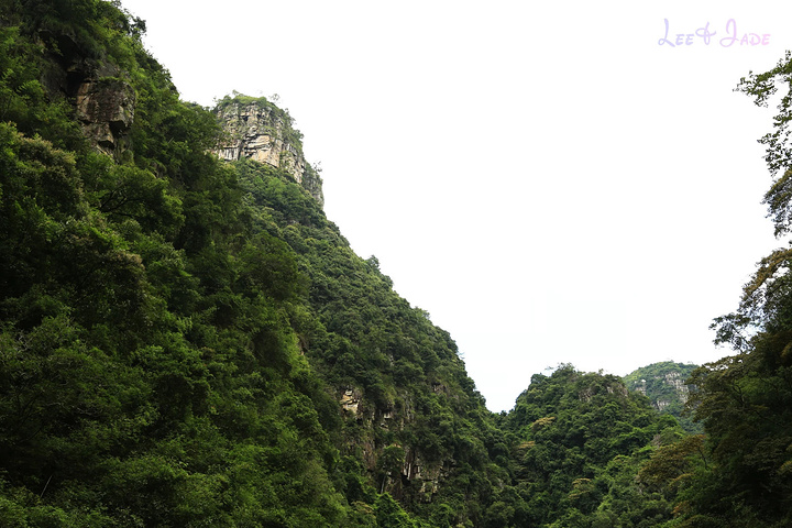 "...天飘降，轻柔，飘忽，无声无息……与雄伟壮阔的悬崖背景，刚柔并济，奇妙地融为一体，真叫人叹为观止_广东大峡谷"的评论图片