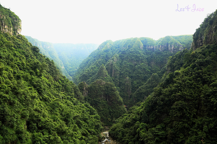 "...天飘降，轻柔，飘忽，无声无息……与雄伟壮阔的悬崖背景，刚柔并济，奇妙地融为一体，真叫人叹为观止_广东大峡谷"的评论图片