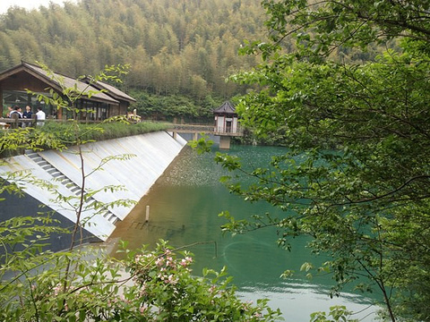 南山竹海旅游景点攻略图
