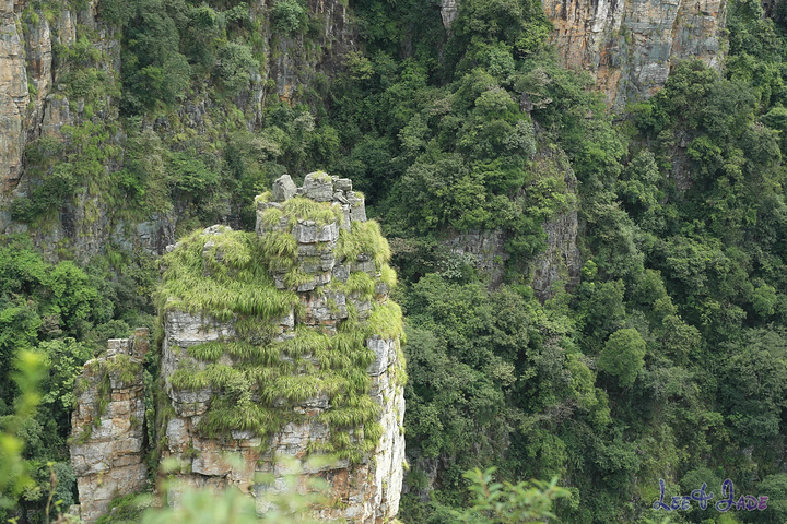 "...天飘降，轻柔，飘忽，无声无息……与雄伟壮阔的悬崖背景，刚柔并济，奇妙地融为一体，真叫人叹为观止_广东大峡谷"的评论图片