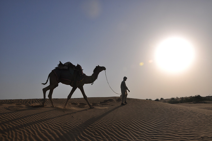骑得这匹骆驼才5岁还是个小孩特别喜欢跑而且骆驼跑起来是顺拐得真的