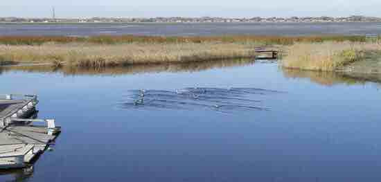 东沟湿地狩猎场