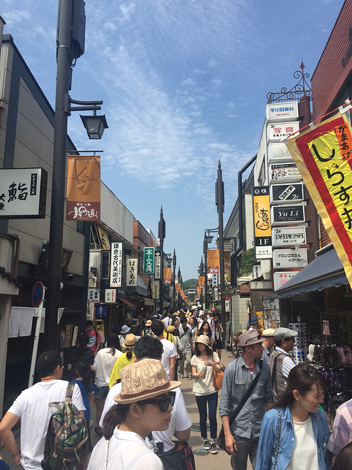 东京镰仓箱根自由行,摩羯座的调调-镰仓旅游攻略-游记-去哪儿攻略