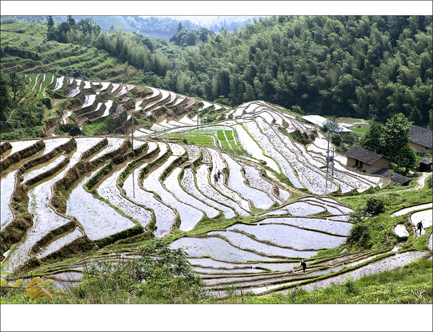 江西省崇义县丰州乡小坑村