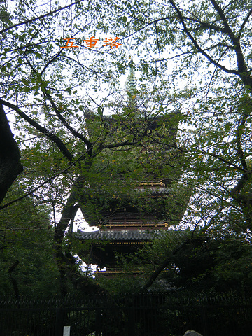 21不過這裏也是許多無家可歸人的棲息處 尤其是一大早 進大門公園座椅上 許多流浪者還在睡覺 上野公园 评论 去哪儿攻略