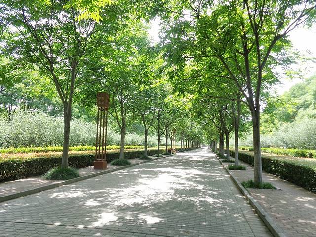 隋唐城遗址植物园