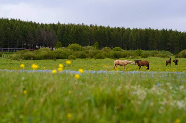 御道口牧场月亮湖风景区