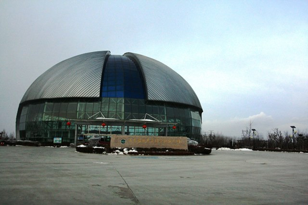 诸城中国暴龙馆