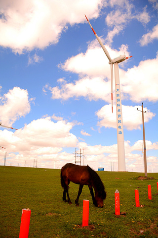 2017 这次的草原之旅第一次看到一望无际美丽