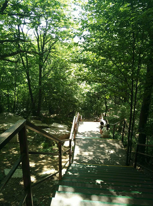 沂蒙山云蒙景区(蒙山国家森林公园)图片
