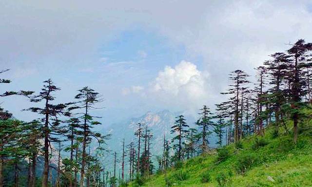 朱雀国家森林公园