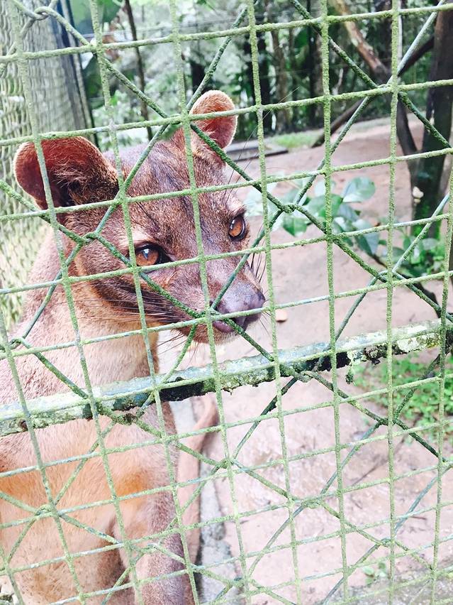 昂纳西贝国家森林公园