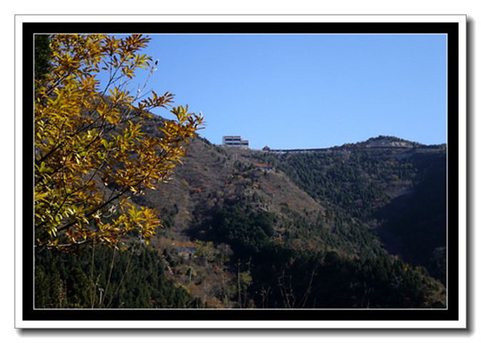 "最高峰海拔 659米，从山底有两条登山路：一条是到山顶彩绘长廊的（有1299台阶，全是台阶路）..._蟒山国家森林公园"的评论图片