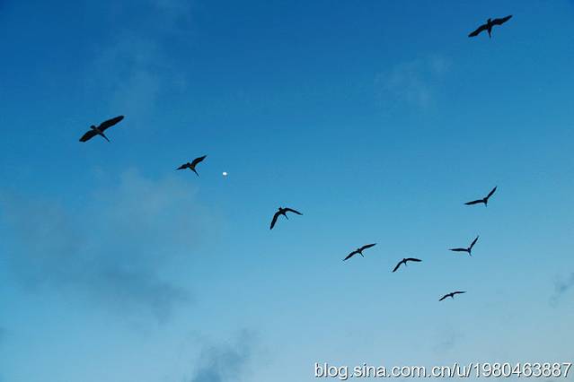 莫罗与卡瓦纳历史公园