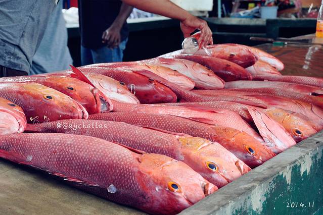 塞尔温-克拉克市场