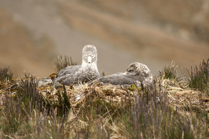 Godthul峡湾图片 Godthul峡湾图片